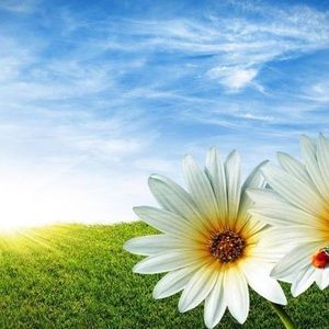 Meet your Posher, Dalia